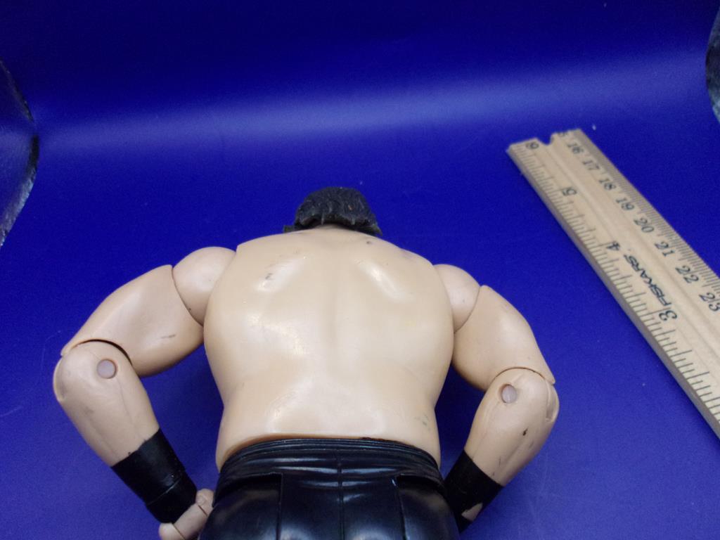(image for) 2007 wwe great khali figure