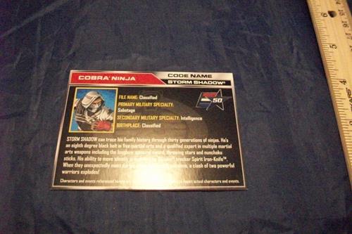 (image for) 2010 storm shadow ninja filecard