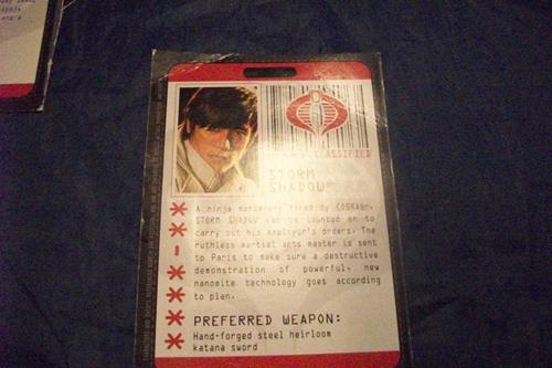 (image for) 2009 storm shadow unmasked filecard