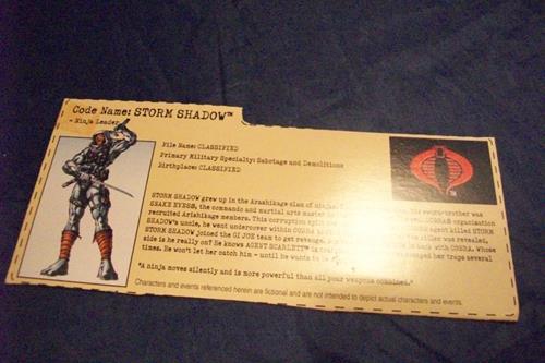 (image for) 2002 storm shadow filecard