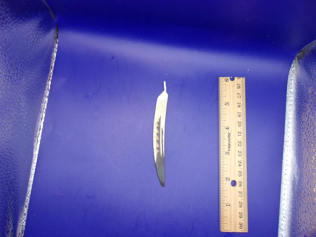 (image for) 2004 star wars naboo kaadu feather