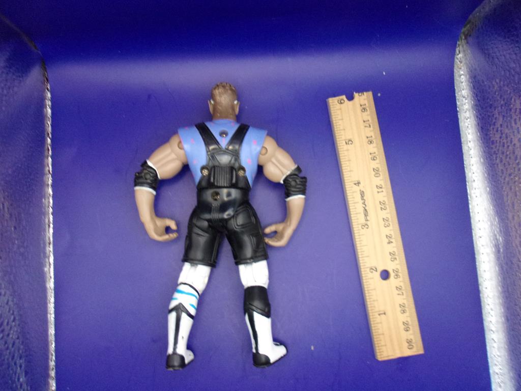 (image for) 1999 ecw wwe elite devon dudley