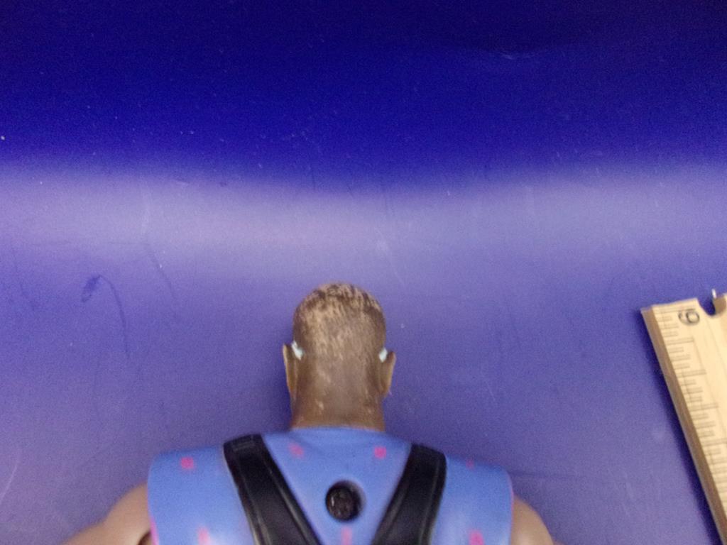 (image for) 1999 ecw wwe elite devon dudley