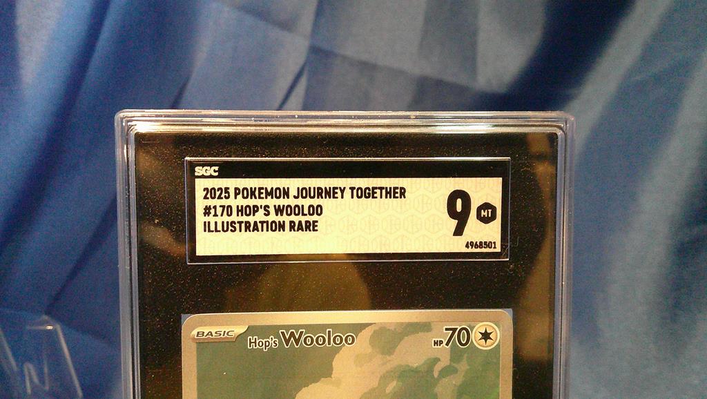 (image for) 2025 pokemon journey together #170 hops wooloo illustrations rare sgc 9