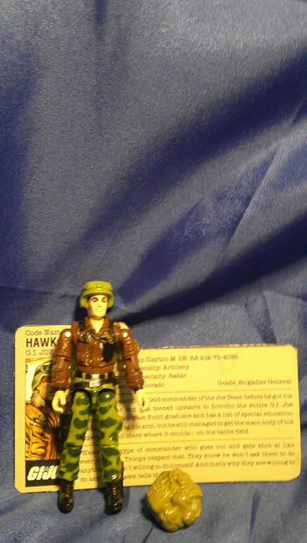 (image for) 1986 hawk with filecard incomplete