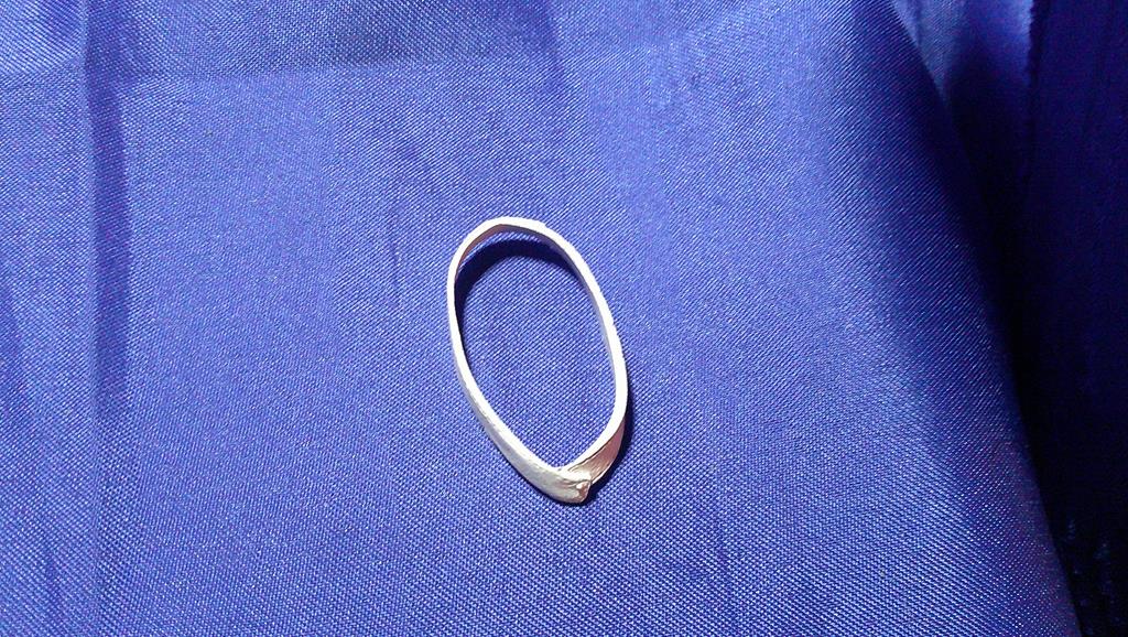 (image for) 2009 snake eyes v46 sash