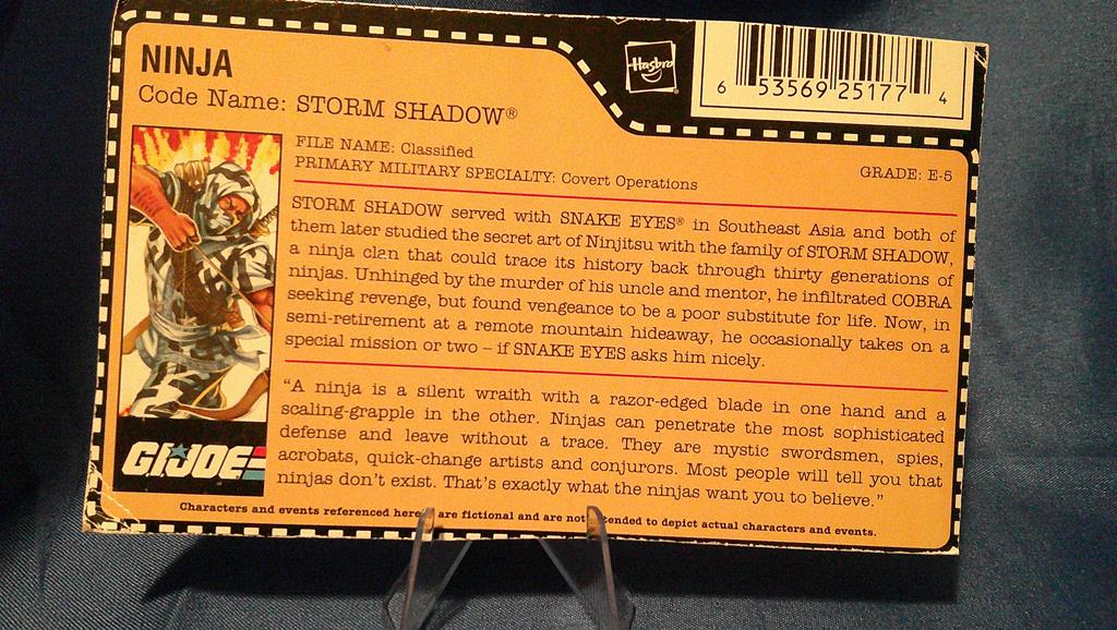 (image for) 2008 storm shadow filecard