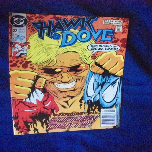 (image for) Hawk and dove #22 comic